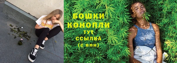 гашик Арсеньев