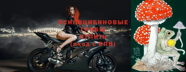 гашик Арсеньев